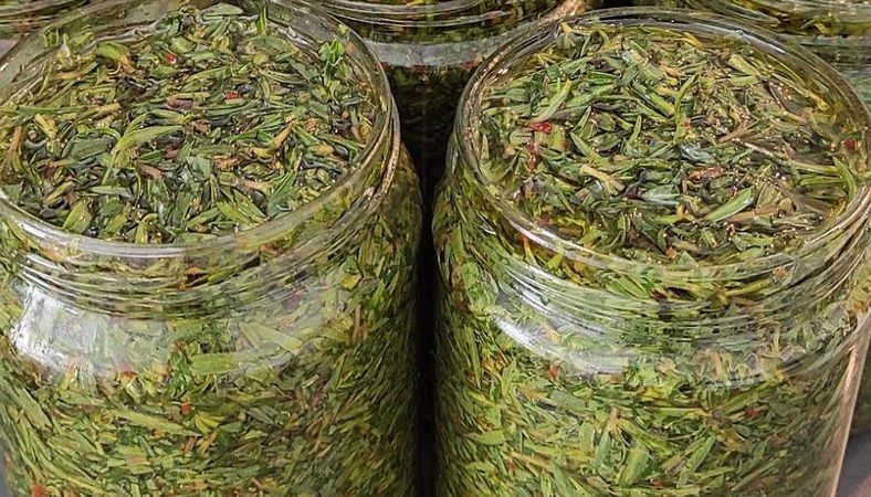 Hep yeşilini tüketiyoruz oysa siyahı şifa deposuymuş! Üstelik 1 kaşık tüketmek yeterli. 1